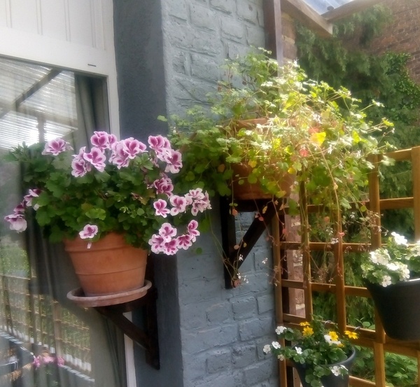 Supports de pots de fleurs