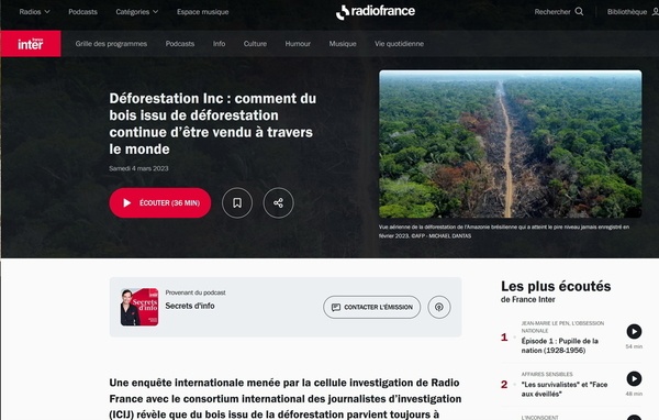 Déforestation  : comment du bois issu de déforestation continue d’être vendu à travers le monde