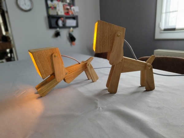Duo de chiots