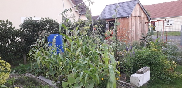 Petite cabane de jardin (comme une grande!)