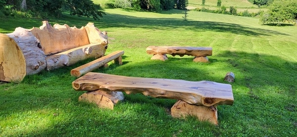 Un abies de 180 ans, destiné au feu. Selon vous, sauvetage réussi ?