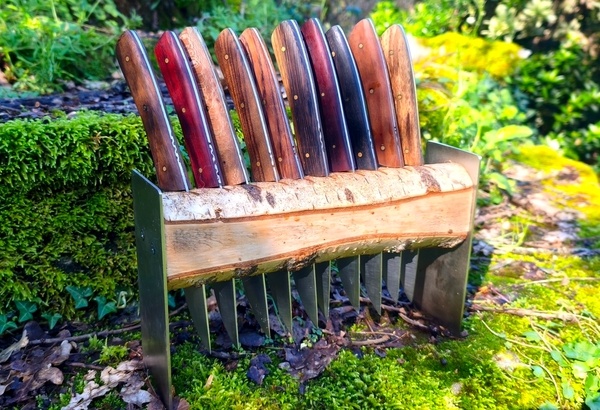 10 couteaux à viande sur présentoir en bouleau
