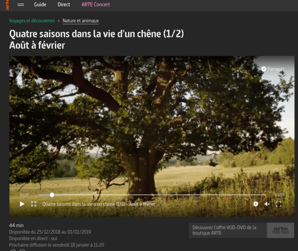 Quatre saisons dans la vie d'un chêne