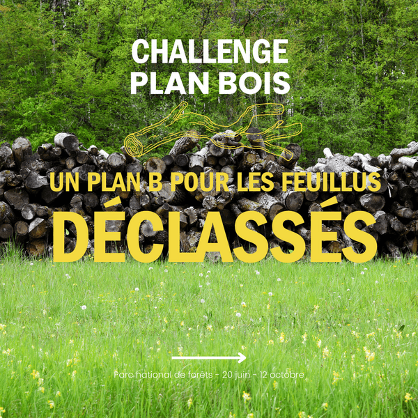 Challenge PLAN BOIS - Un plan B pour les feuillus déclassés - Deadline 12 oct. 2025