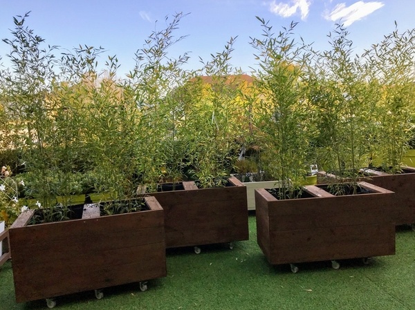 Bac à plantes sur roulettes en bois de terrasse
