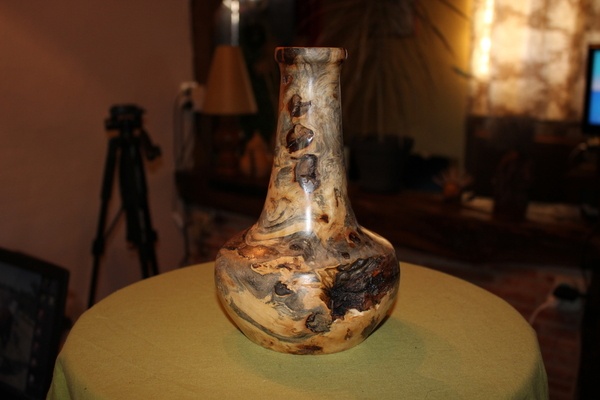 Tournage d'un trognon de marronnier (vidéo)