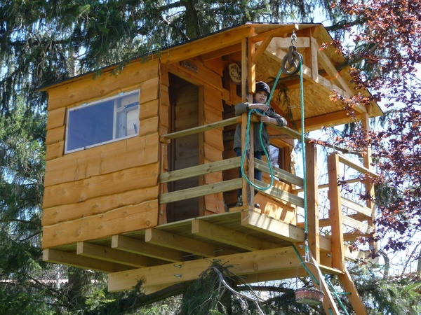 Cabane dans les arbres
