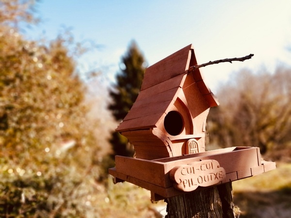 Cabane à oiseau