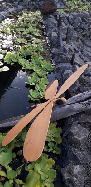 Libellule et son bassin...