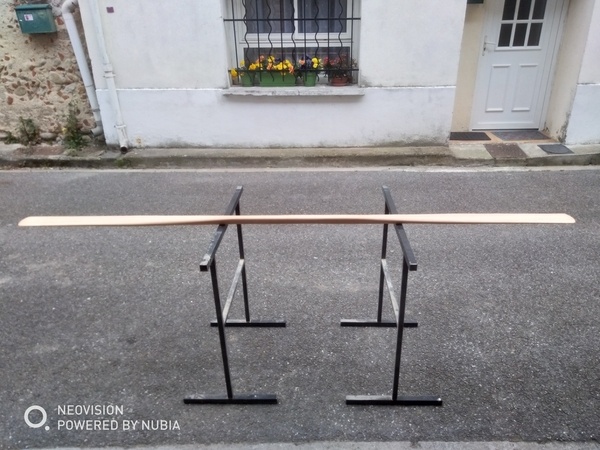 Pagaie groenlandaise