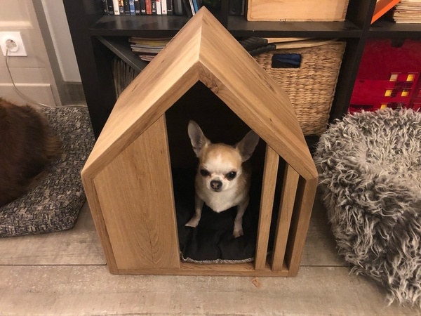 Un panier design en chêne pour chien