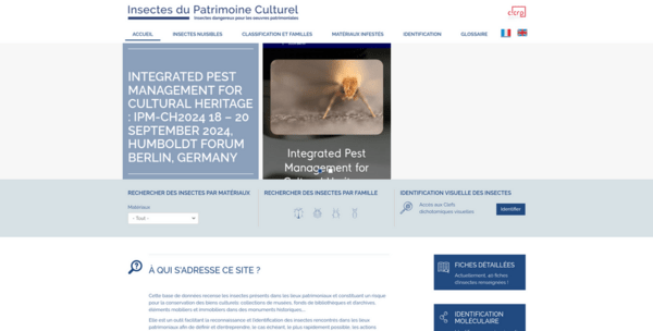 Insectes du patrimoine culturel