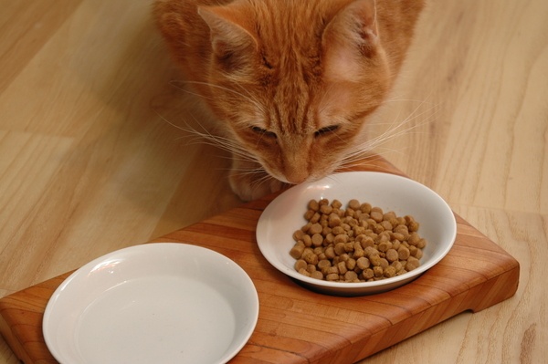 La salle à manger d'Isidore