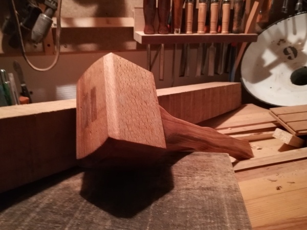 Propagation du virus du maillet