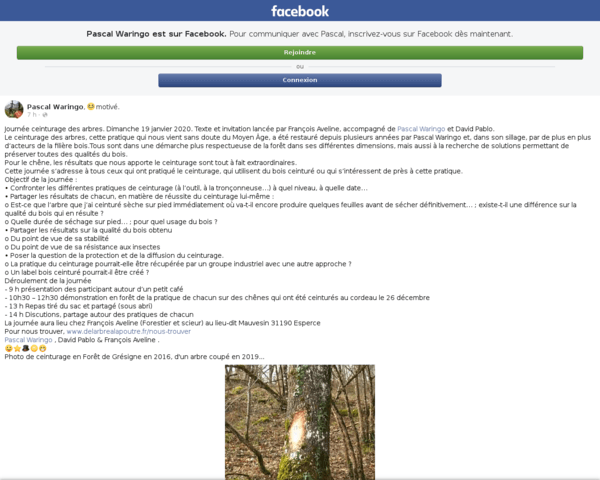 Journée ceinturage d'arbre