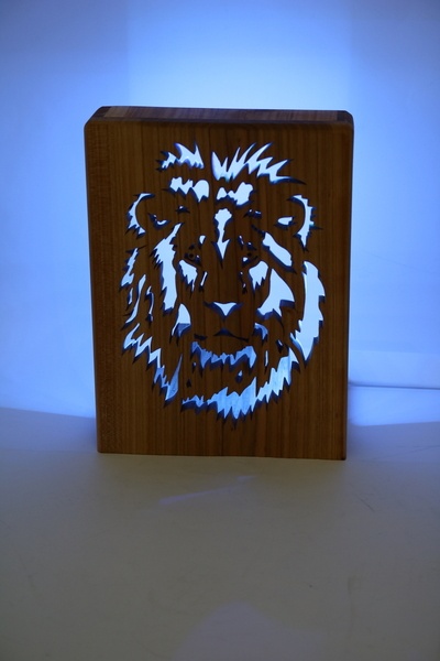 Lion LEDs RGBWW wifi
