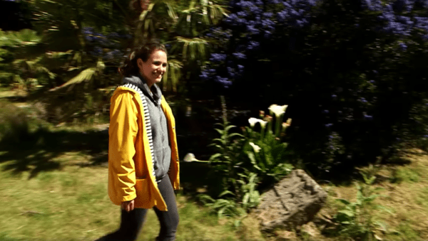 Les ruches horizontales sur TF1