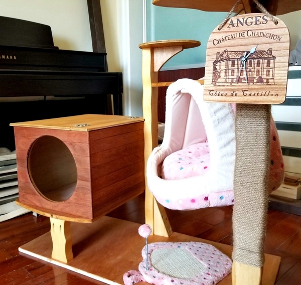 Le "Chat'O" des Plaisirs...une salle de gym pour chat