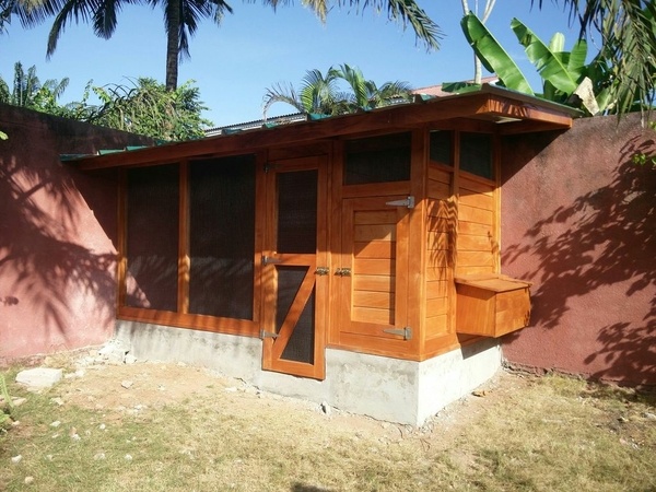 Poulailler en acajou