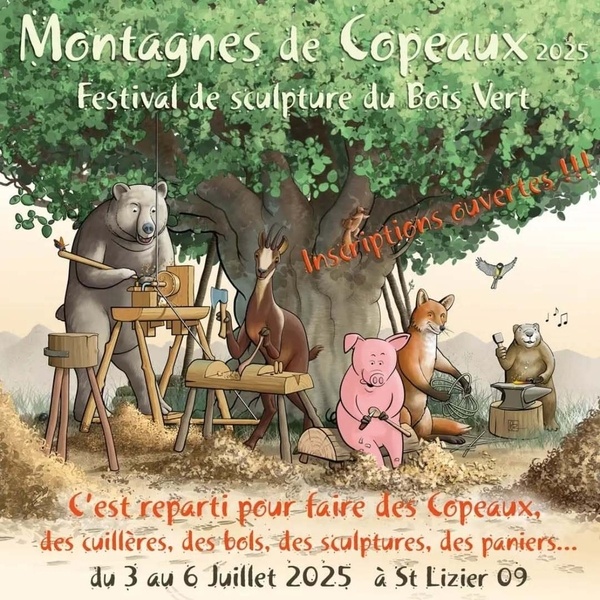 Montagnes de copeaux #2