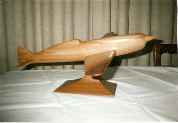 Maquette     avion Caudron