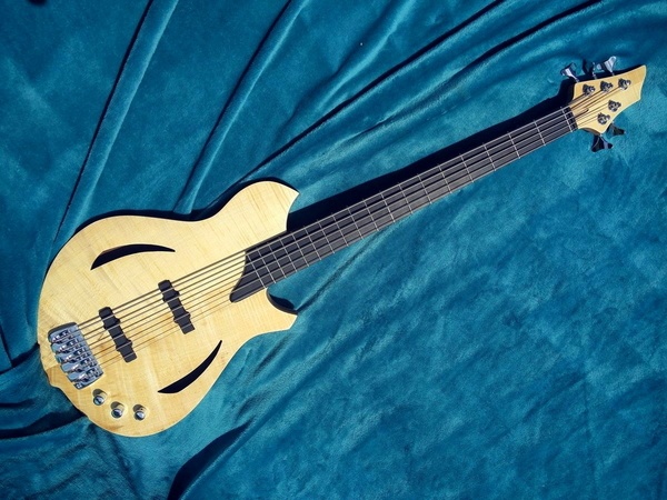 Basse électrique 5 cordes