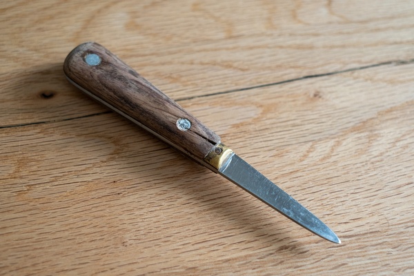 Restauration d'une lancette à huitres