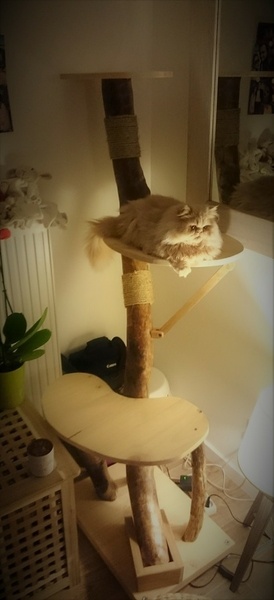 Chez les propriétaires