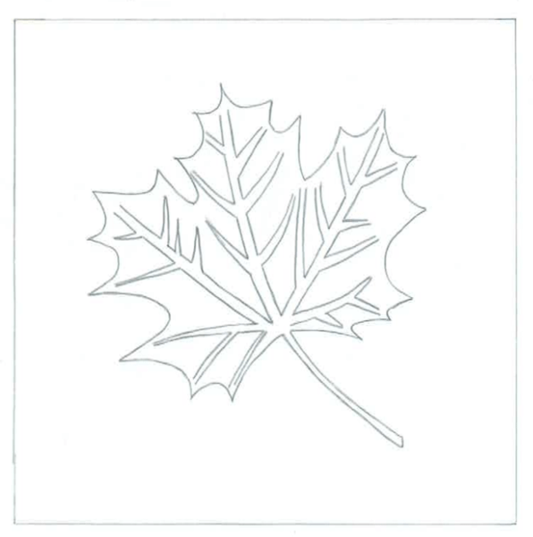 Dessous de plat canadien