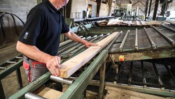 La filière bois recrute 100 000 personnes!