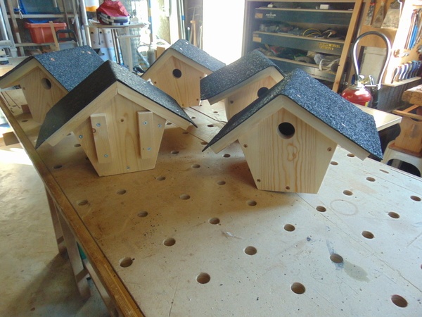 Après les coccinelles...les mésanges !