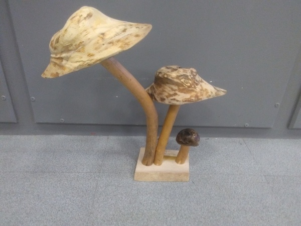 Mangeoire champignons