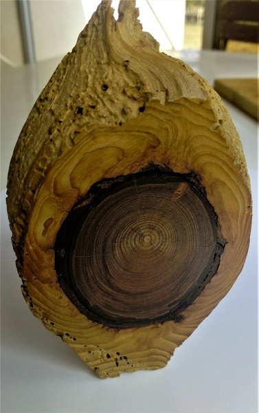 Travail de dame nature