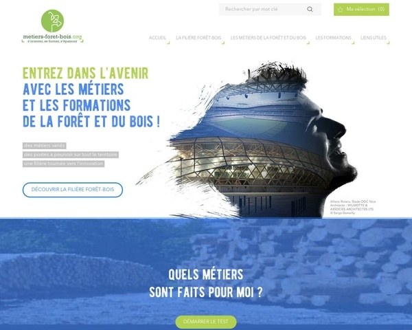 Les métiers du bois