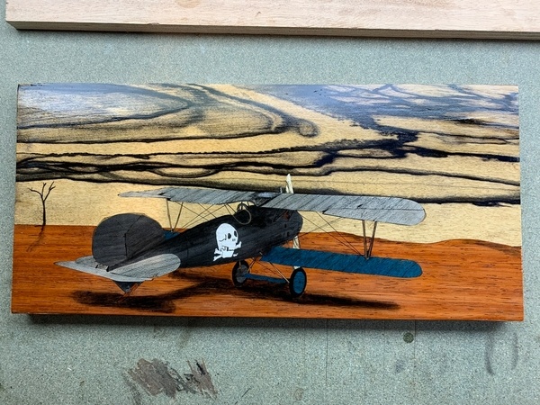 Albatros sur le front