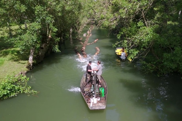 Train de bois sur l'eau (250m, 34 tonnes)