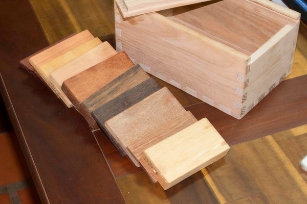 Faire sa Xylothèque