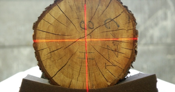 XyloDensMap : un jeu de données unique pour suivre les variations de densité du bois des essences fr