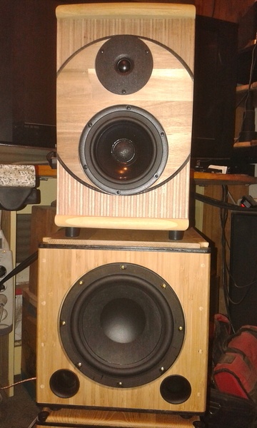 Enceinte en multiplis , caisson de basse en Bambou