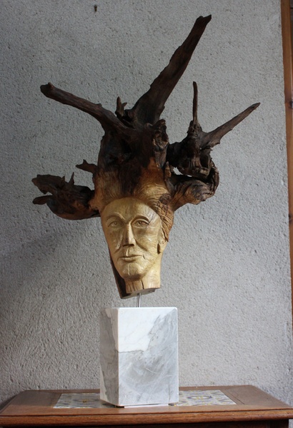 Visage dans une souche