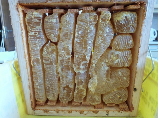 Menuiserie à manger...