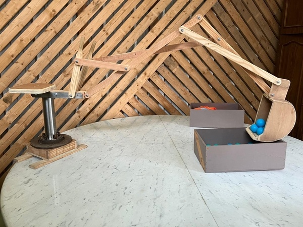 Mini pelleteuse en bois