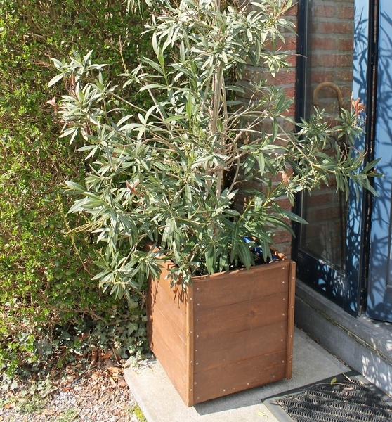 Que faire d'un ancien plancher ?