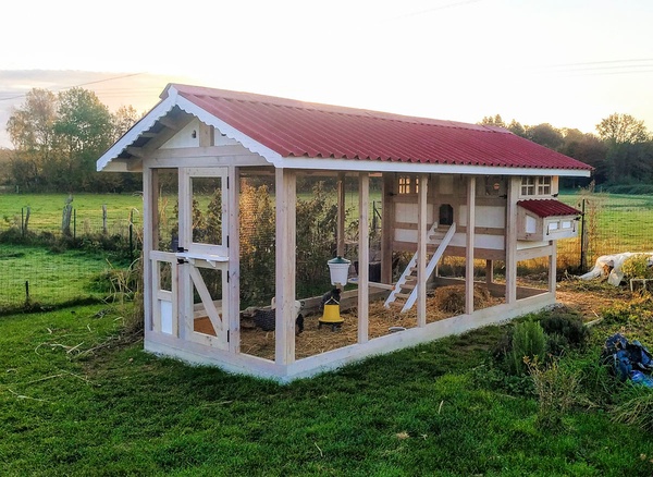 Grand poulailler en Douglas