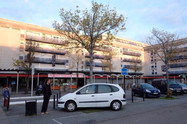 L'arbre qui pousse vite...