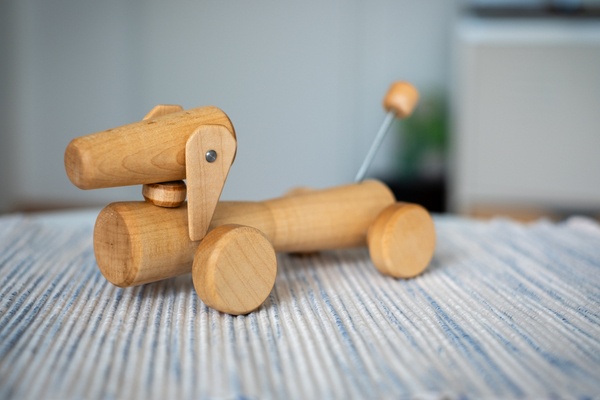 Un teckel à roulettes