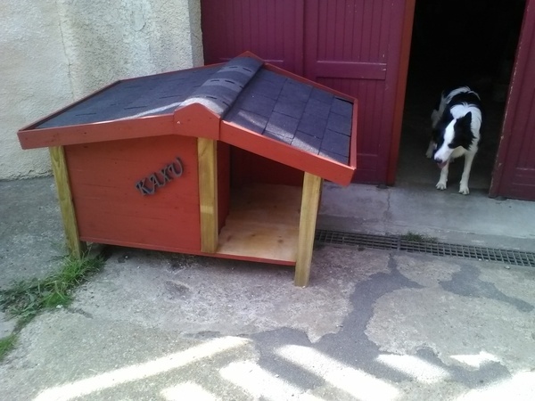 Niche pour chien
