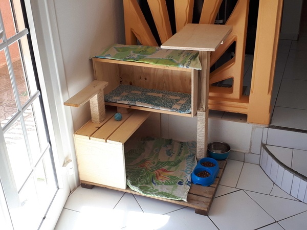 Maison arbre à chat