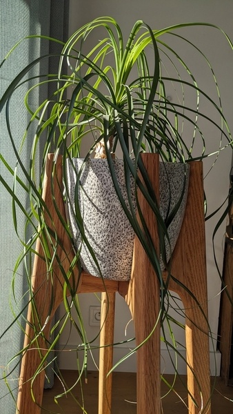 Support pour pot de plante