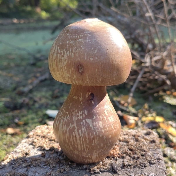 Bolet tourné